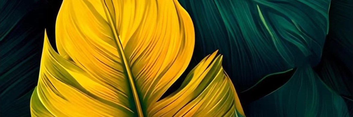 Fernand20914959's profile banner image