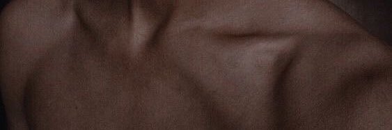 leviz2020's profile banner image