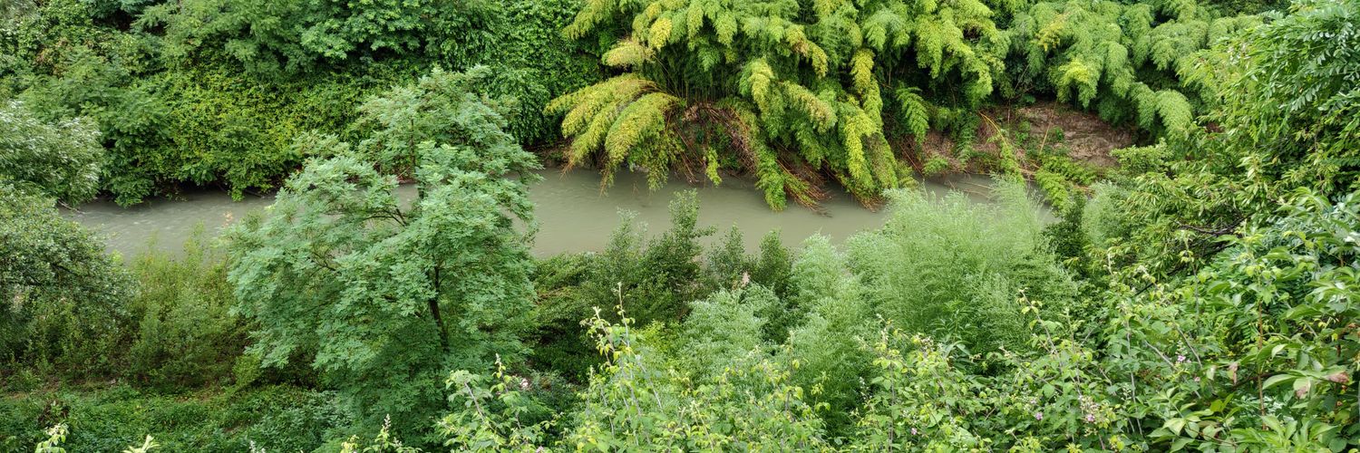 Joannes Vandermeulen banner