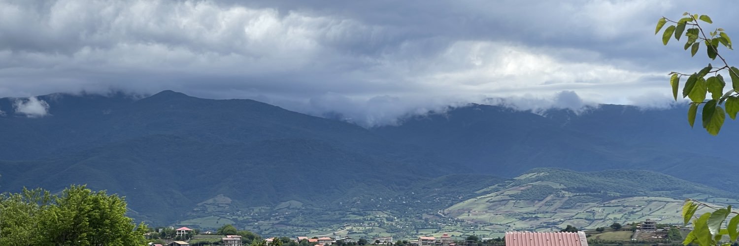 ویولا banner