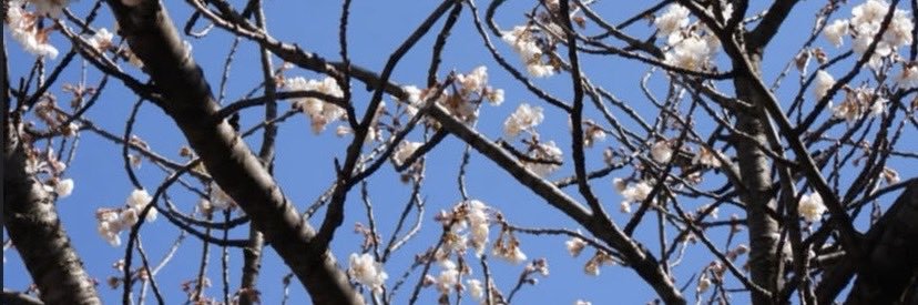brianwilliam06's profile banner image