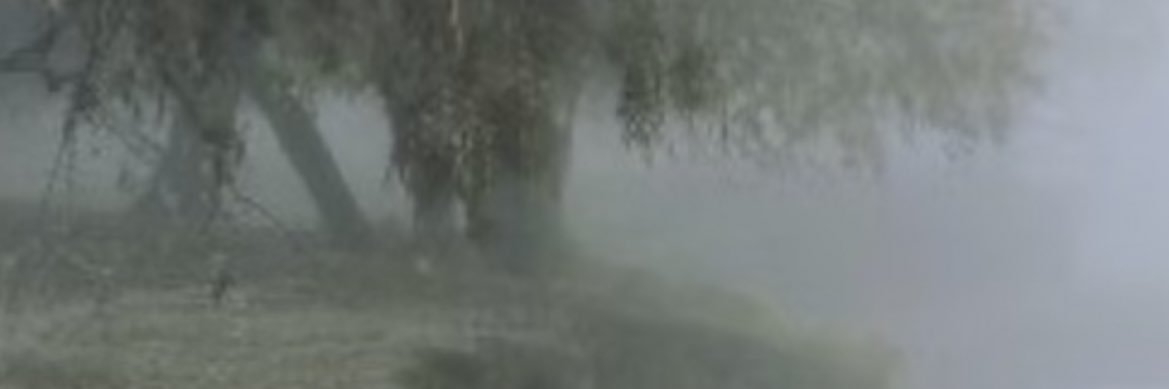 ratwithacat_'s profile banner image