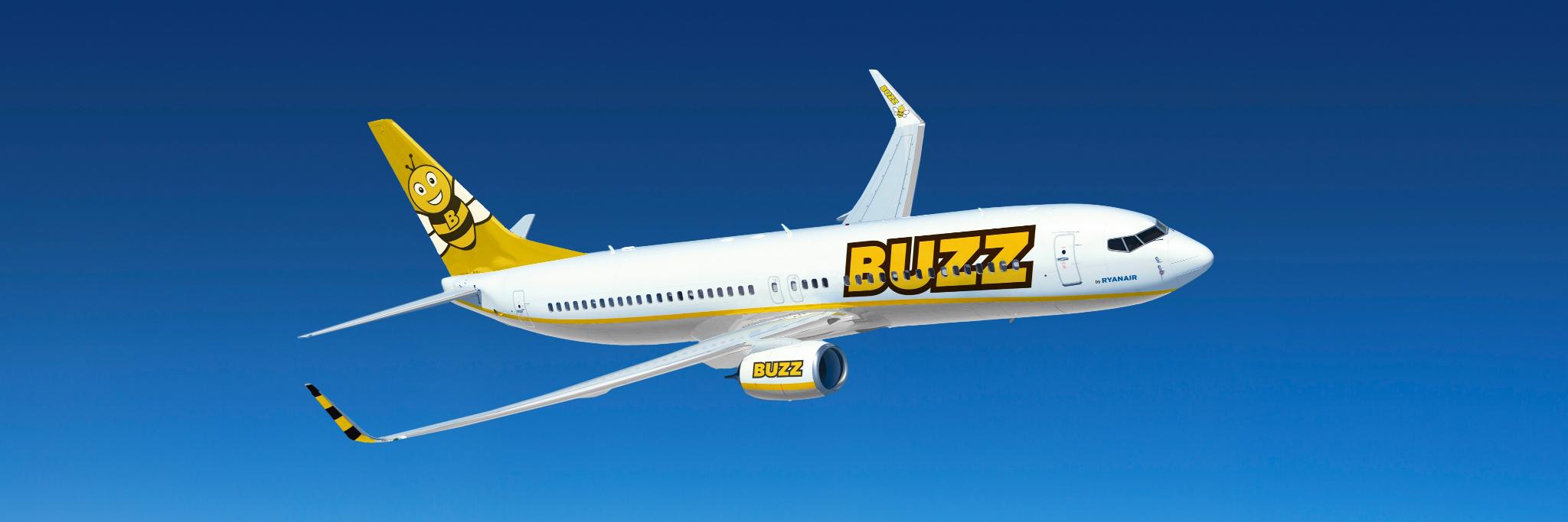 Buzz banner