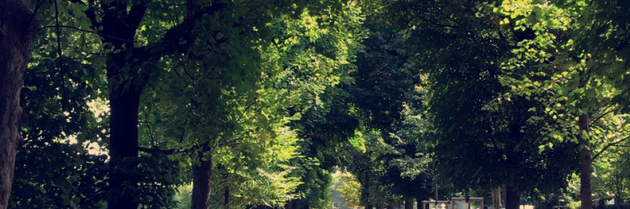emptywalletscal's profile banner image
