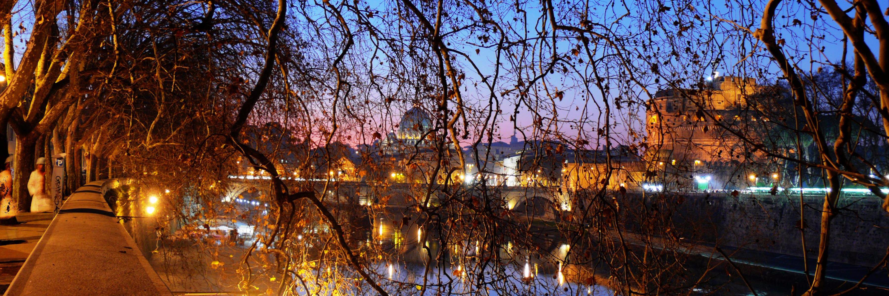 csarmento's profile banner image
