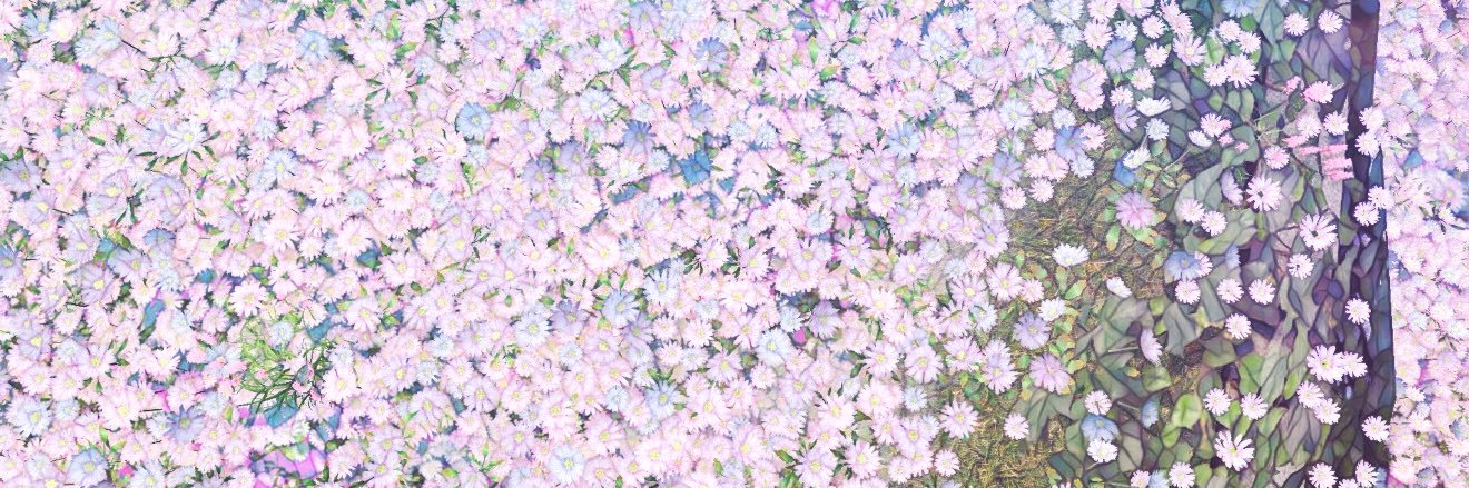 𝖒＊𝖒🐾 banner