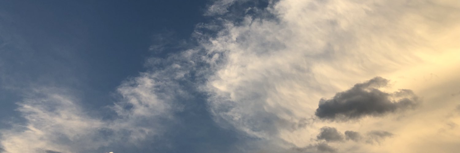 g_boselli's profile banner image