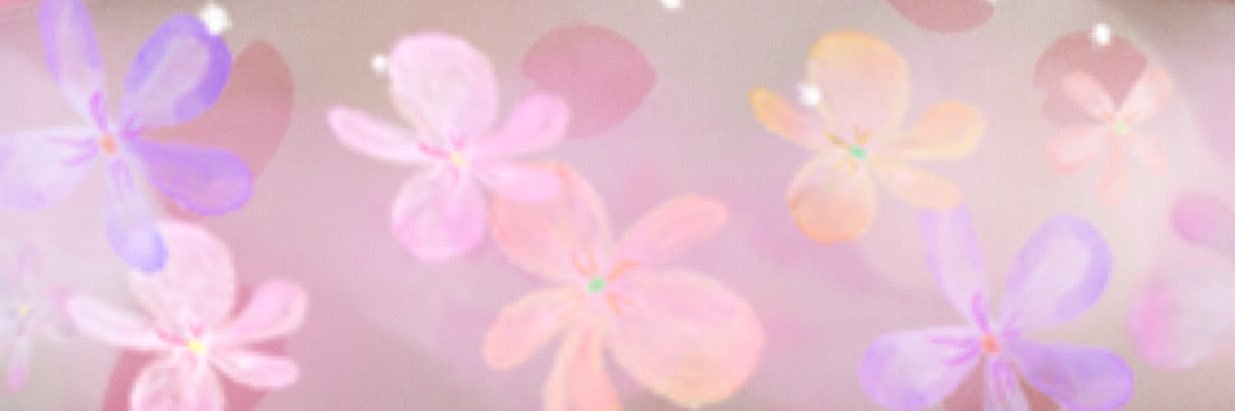 KN banner