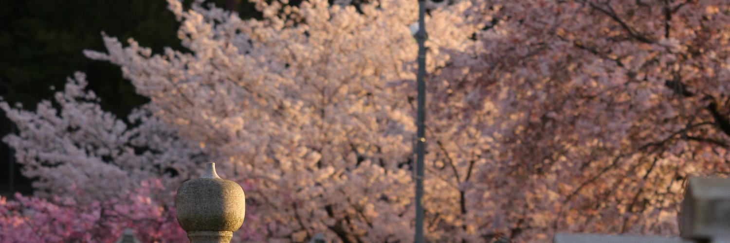 it banner
