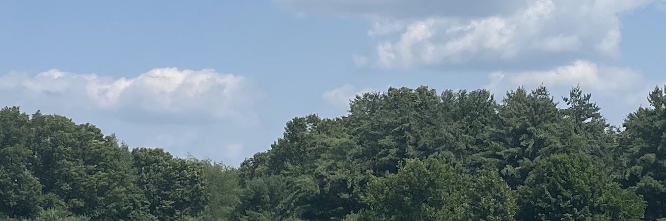 jbeezyyb's profile banner image