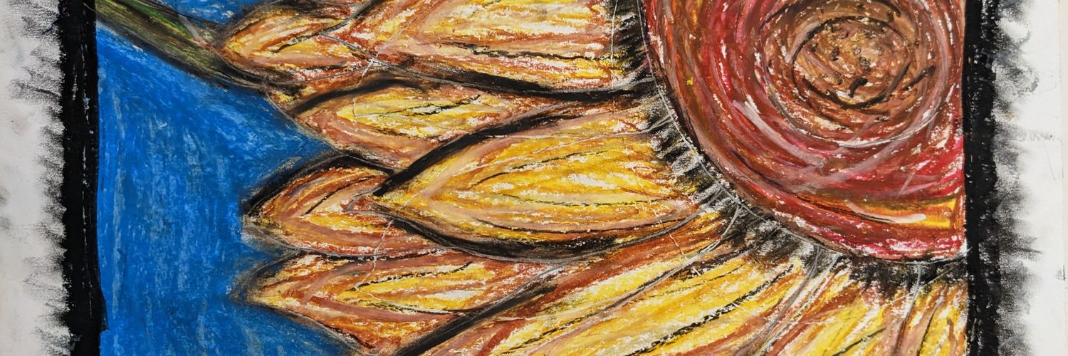 CJHS Visual Art banner