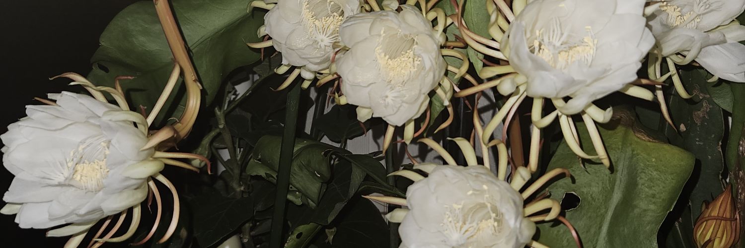 amy_baron's profile banner image