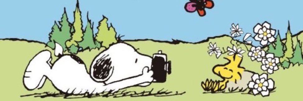 JennaTex's profile banner image