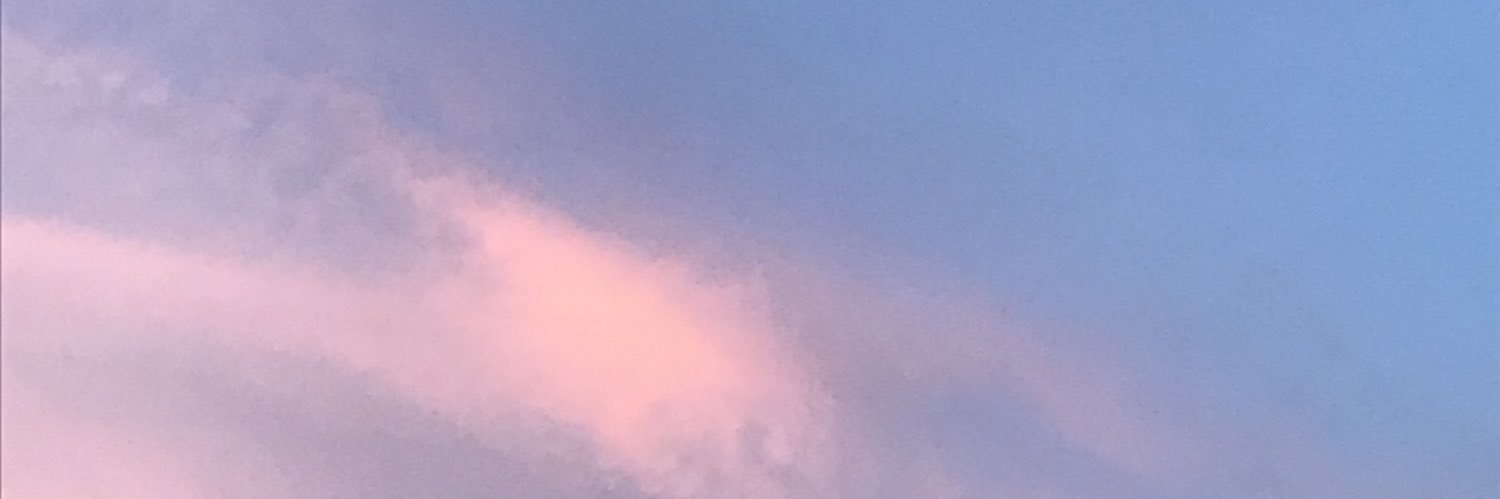 fuccBernie's profile banner image