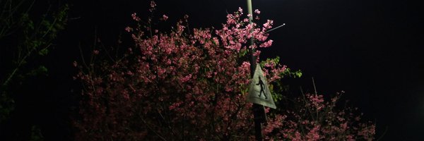 SarionVulpini Profile Banner