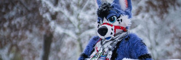 AlexWuffky Profile Banner
