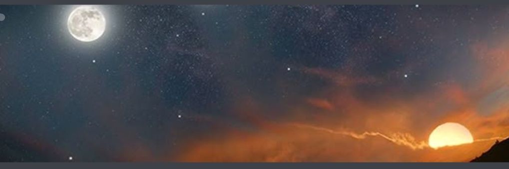spampisavrex's profile banner image