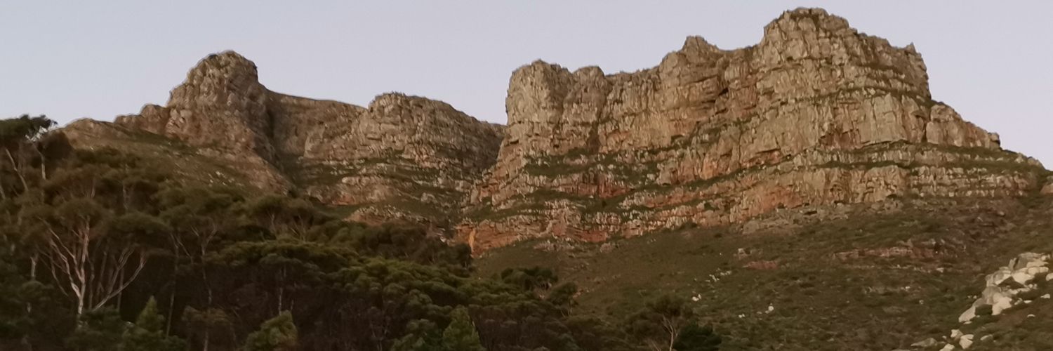 Love South Africa banner