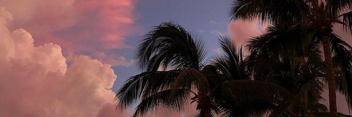 Nkululekobash's profile banner image