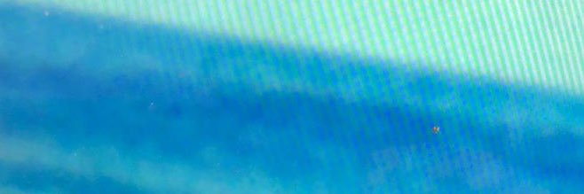 regasito's profile banner image