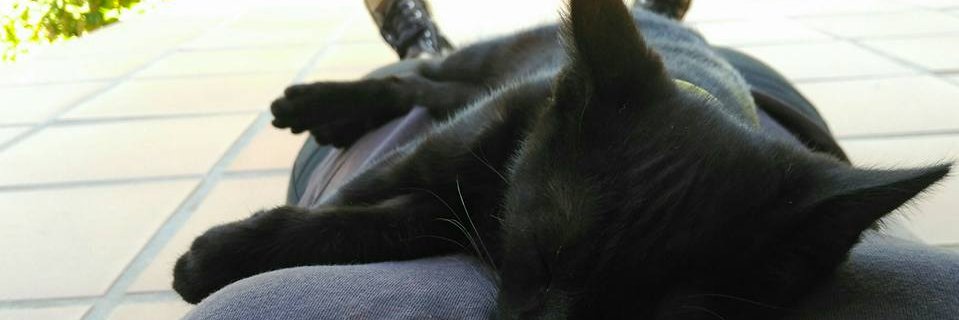 Nat_Hazy's profile banner image