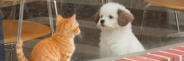 fatmicc's profile banner image
