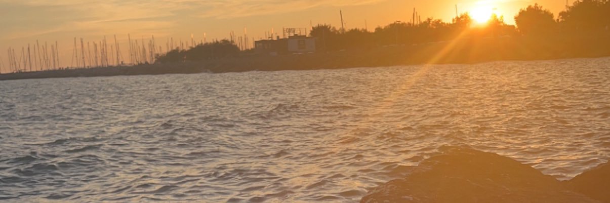 FschrLaura's profile banner image