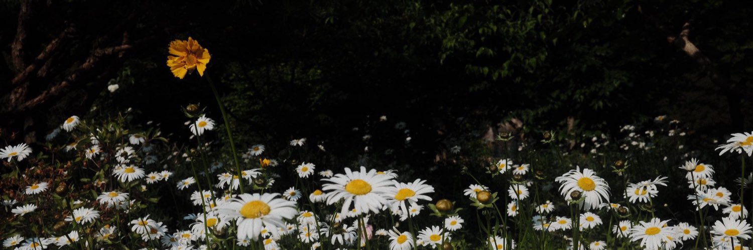 mmk_1217's profile banner image