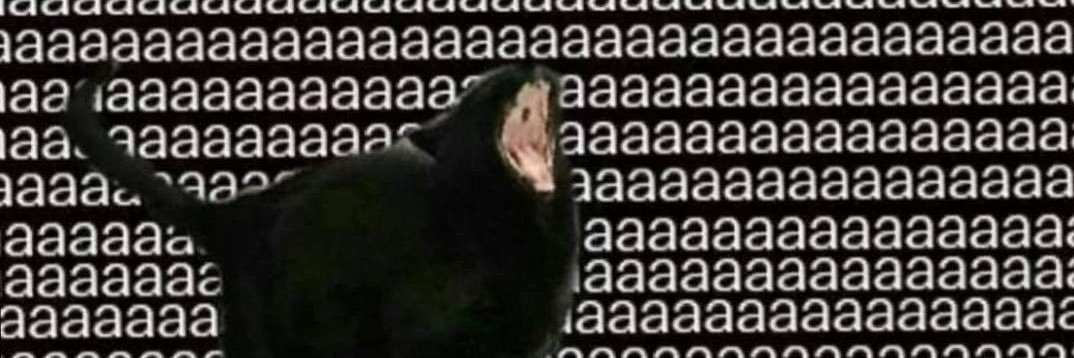 beansproutbb's profile banner image