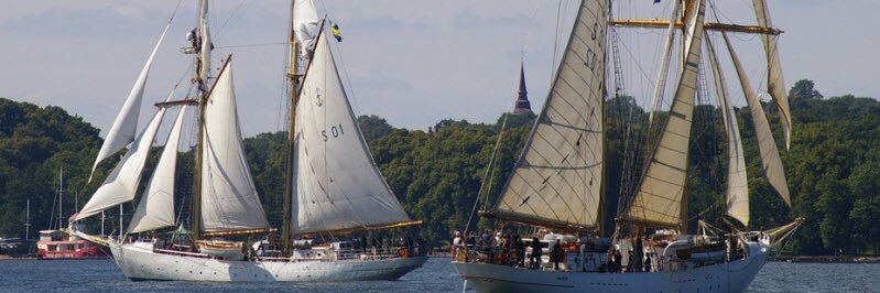 gladanochfalken's profile banner image