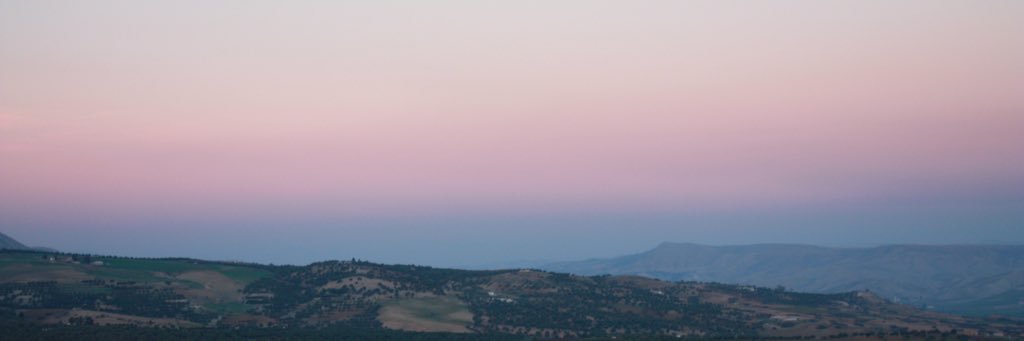 marinasauri's profile banner image