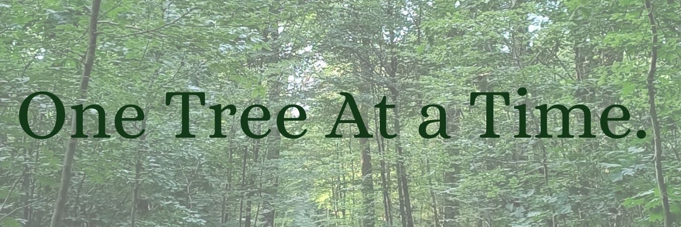 Solomon Anomet O'jay 256🇺🇬 banner