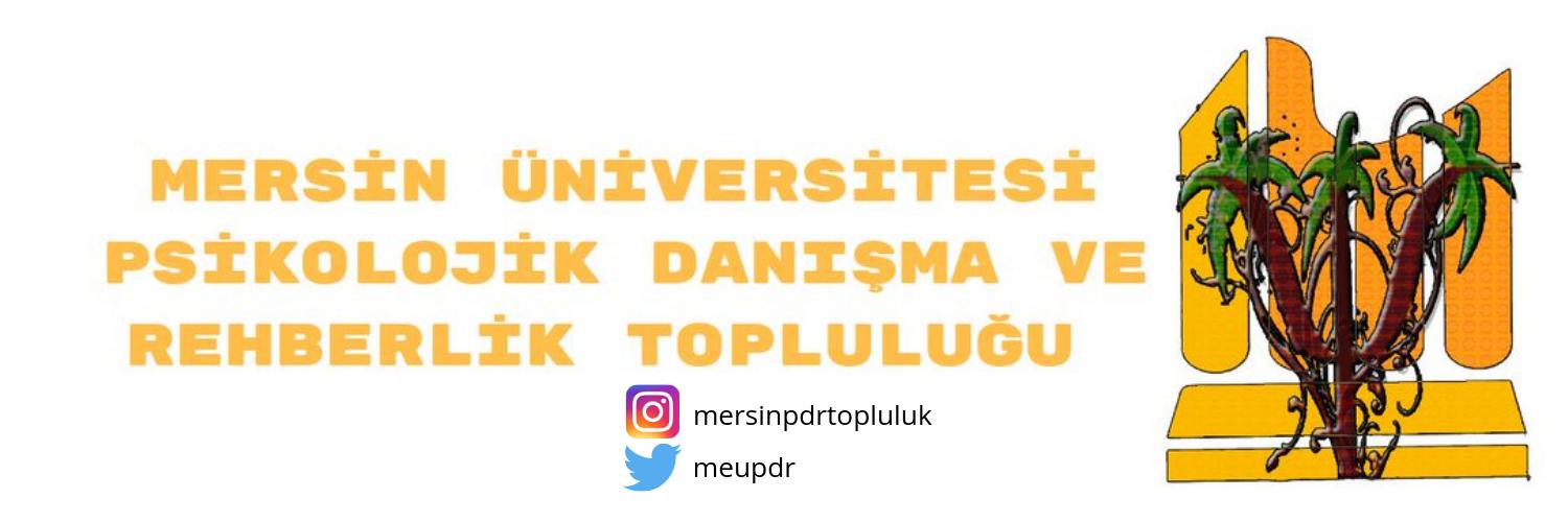 meupdr's profile banner image