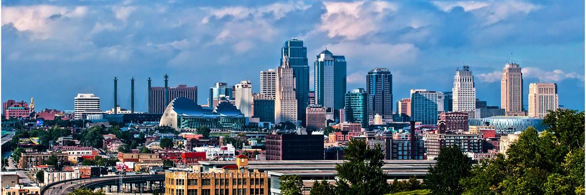 Madison Turner banner