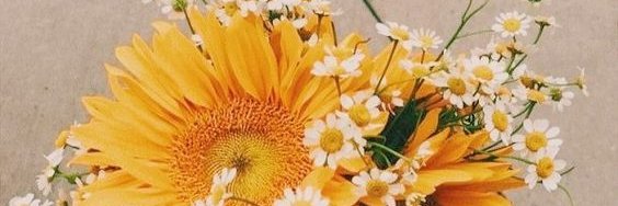 jurjunin's profile banner image