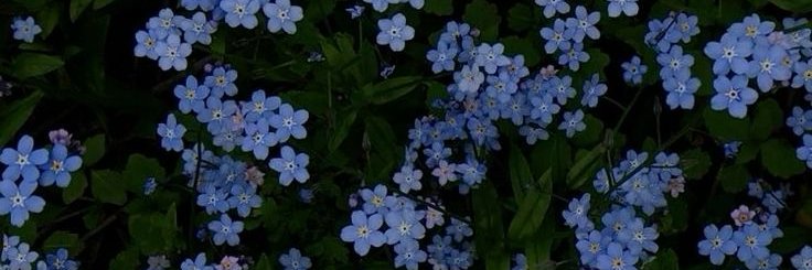 nkfoycft's profile banner image