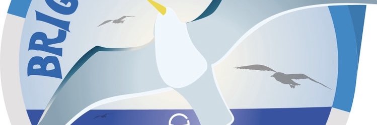 RoadhogHaddock's profile banner image