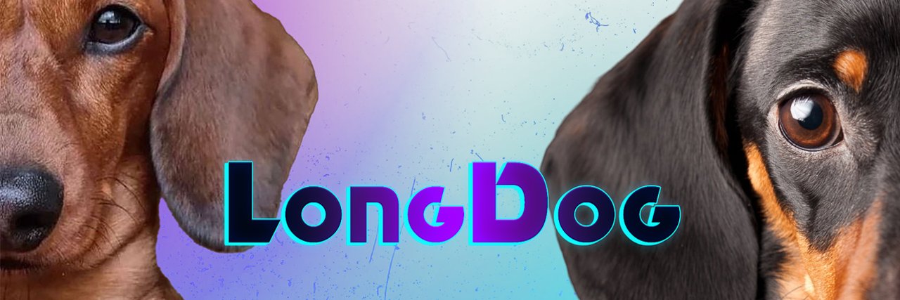 🐾 Long Dog🐾 banner