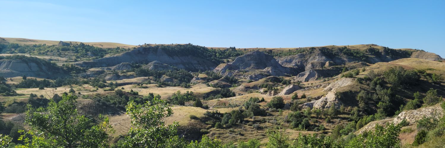 Robert Bossert banner