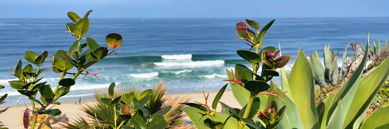surfwithstrand's profile banner image