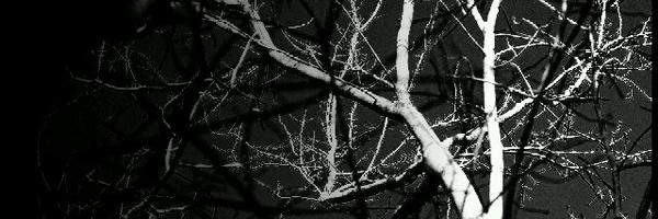 azaaab_ Profile Banner