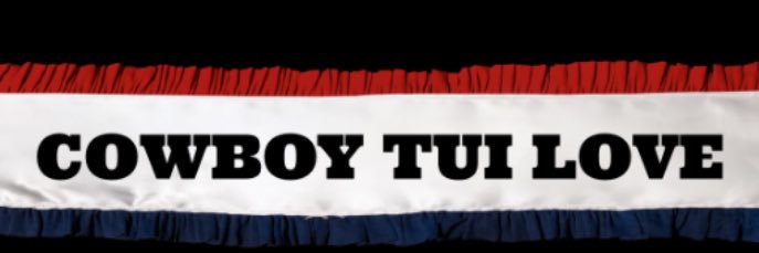 A love named Tui 𐚁 banner