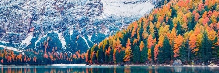 ariel_adhie's profile banner image
