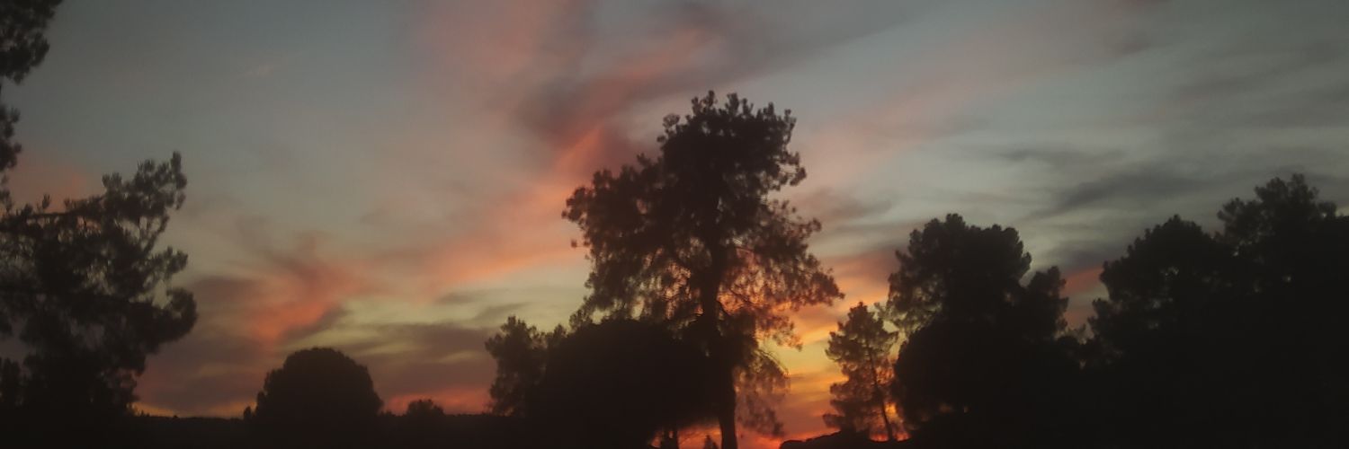 irenuus_'s profile banner image
