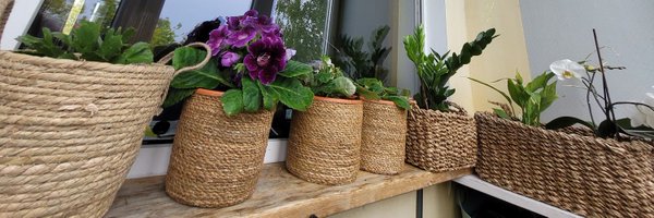 bbbbbbarone Profile Banner