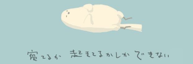 takamine101's profile banner image