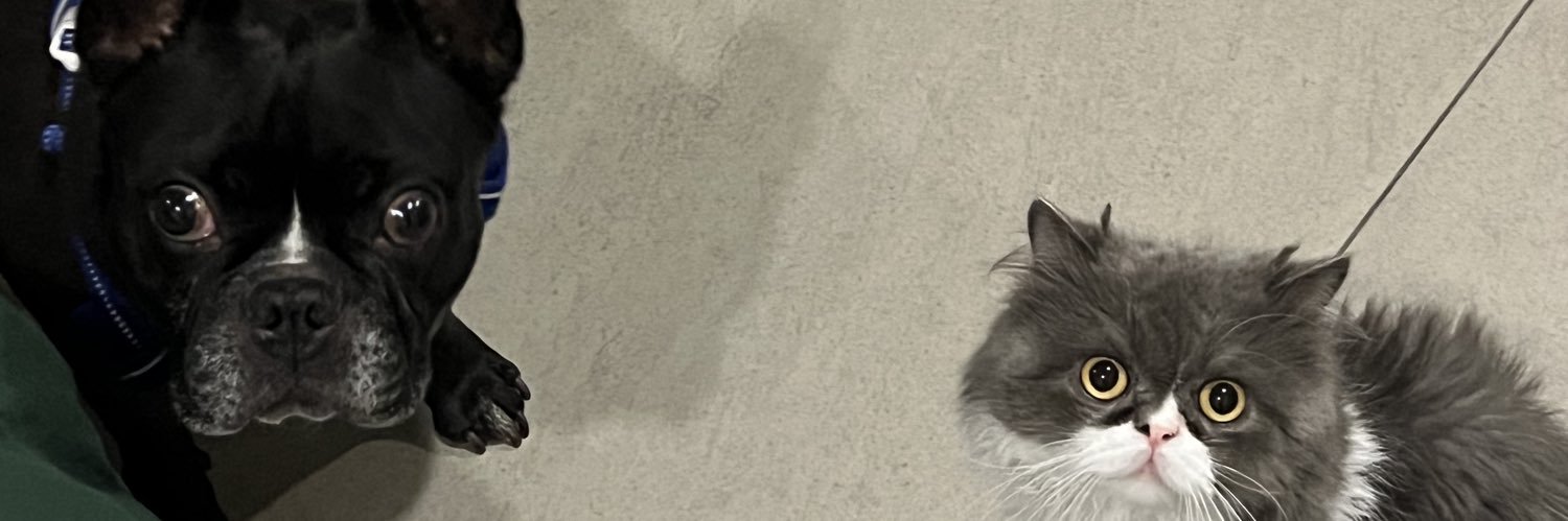 bmoderno12's profile banner image