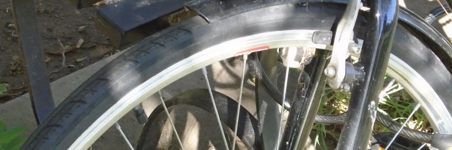 Alexandra Rutherford banner