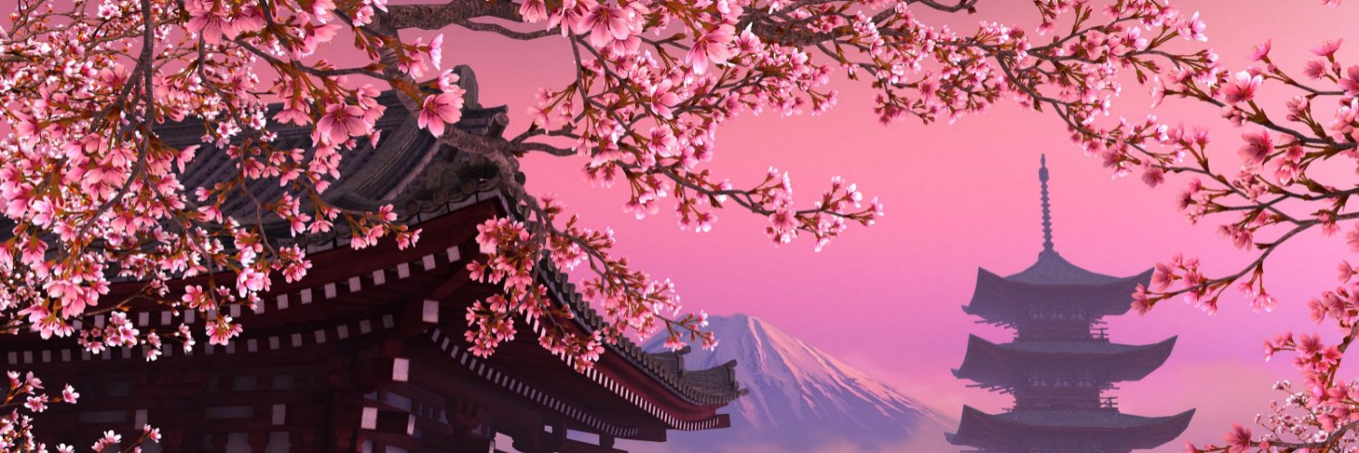Takho 🦩 banner
