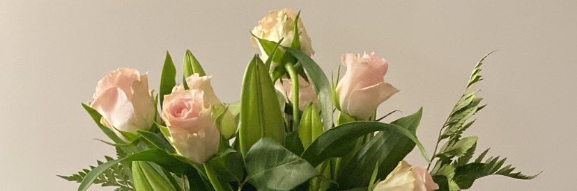 Meline_aldebert's profile banner image